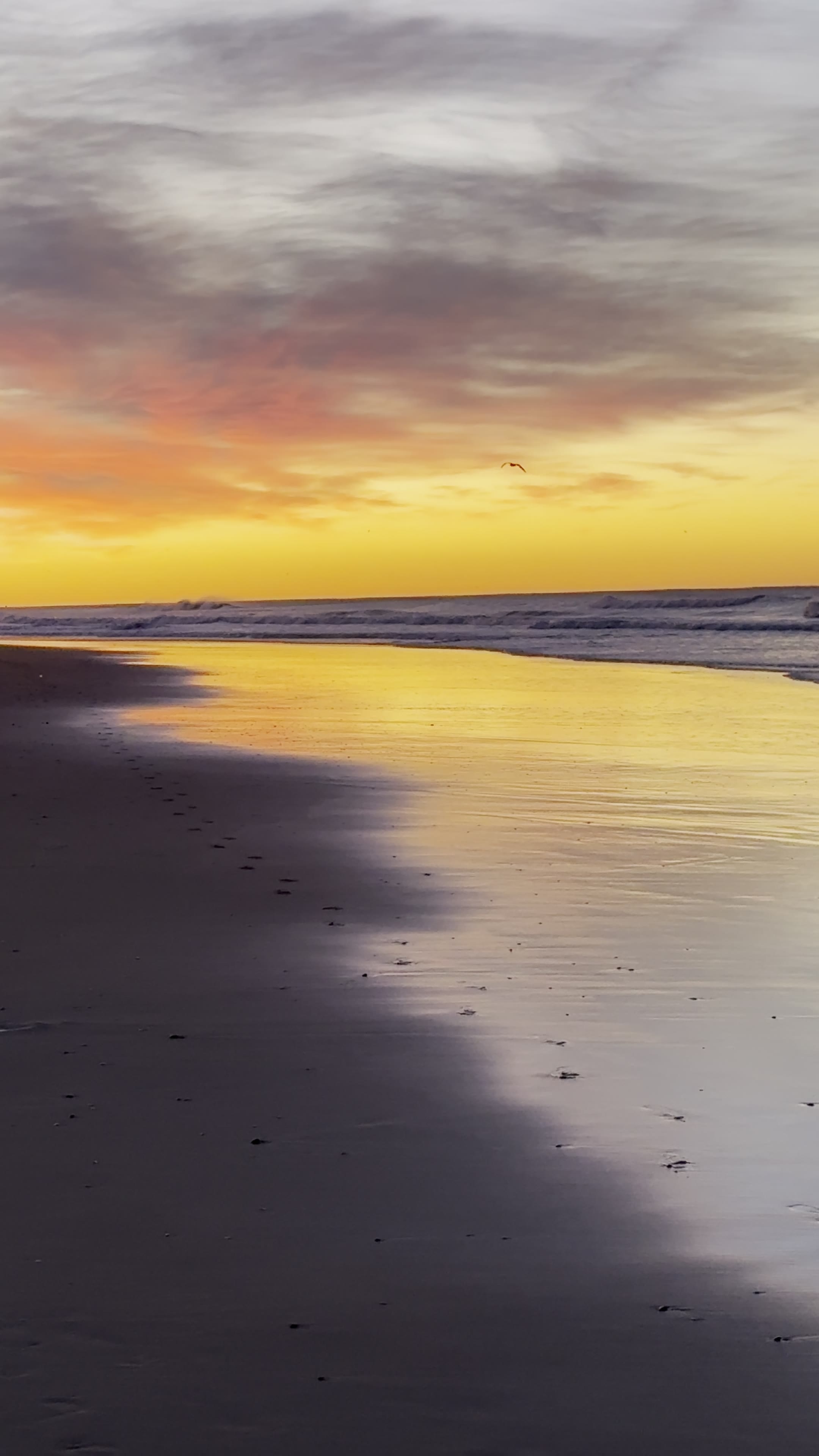Burner sunrise and lone surfer