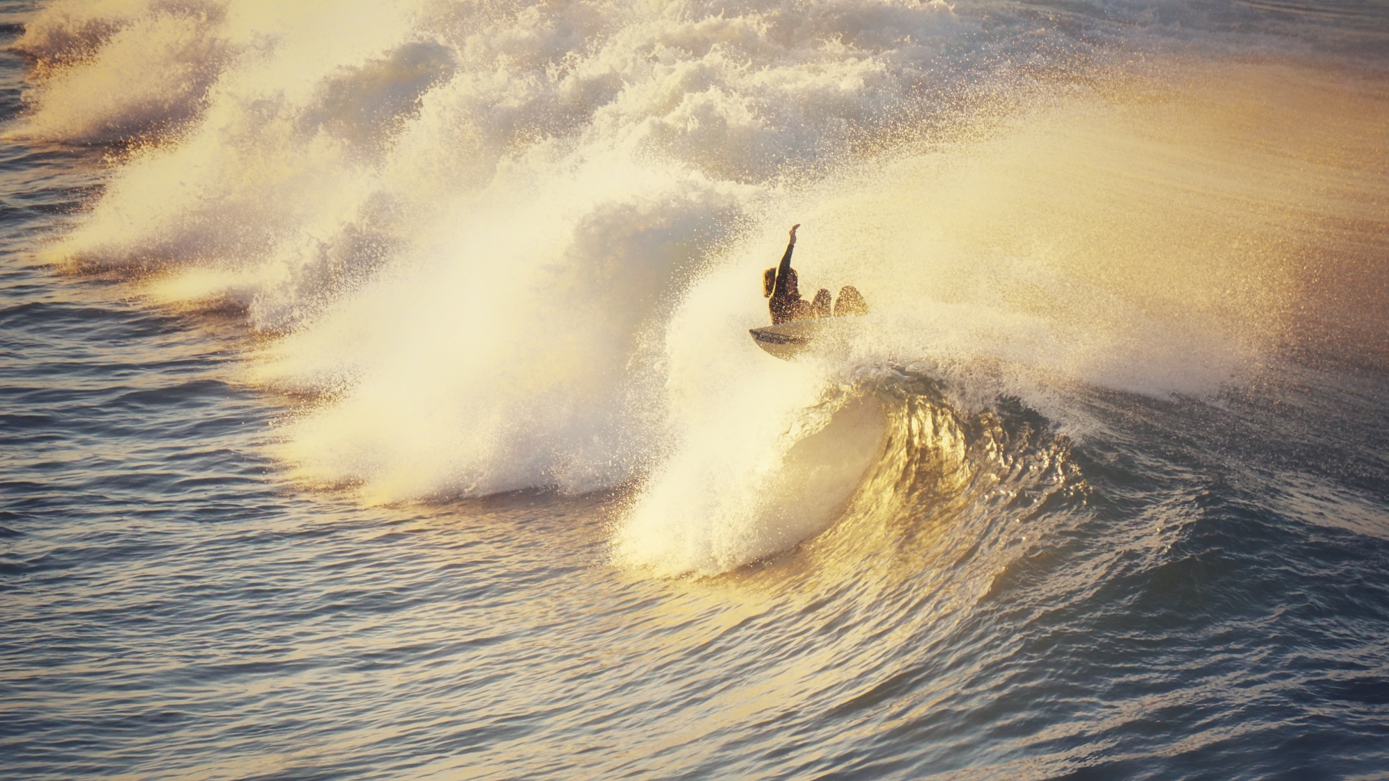 surfer doing a big cutback on a wave with offshore winds speeding the morning sunlight.